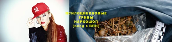 таблы Алзамай