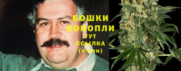 ПСИЛОЦИБИНОВЫЕ ГРИБЫ Алексеевка